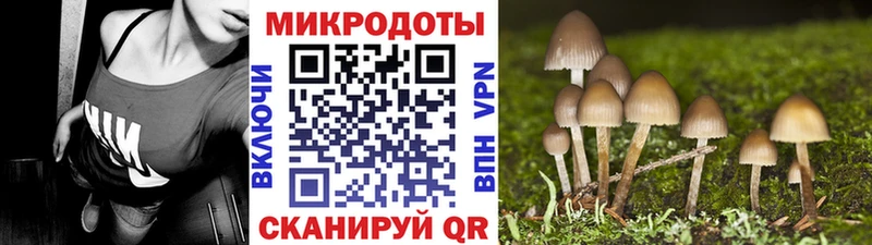 продажа наркотиков  Макаров  Псилоцибиновые грибы Psilocybe 